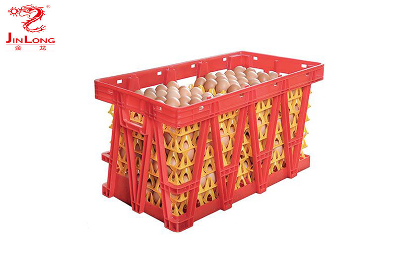 Кутија за јајца со пена мрежа што се преклопува12