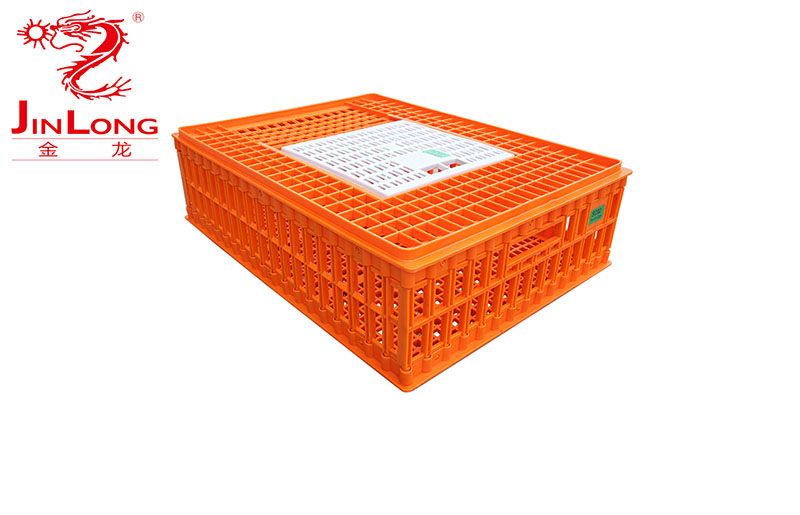 Crates Chicken Plastîk