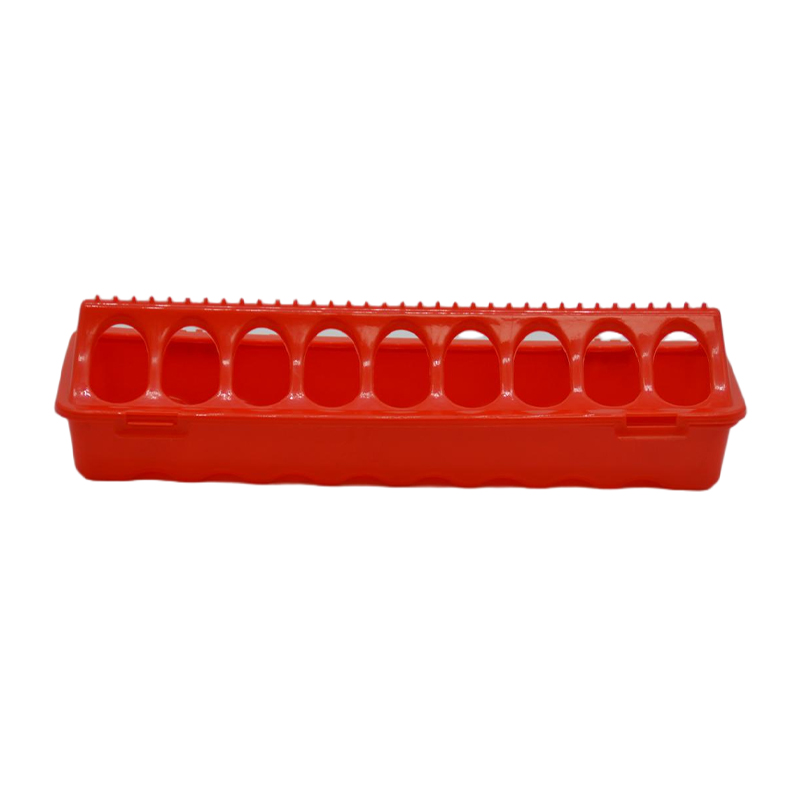 bird feeding trough
