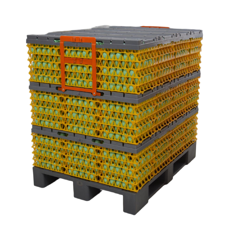 egg-transportation-system