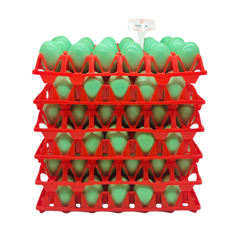 plastic egg tray