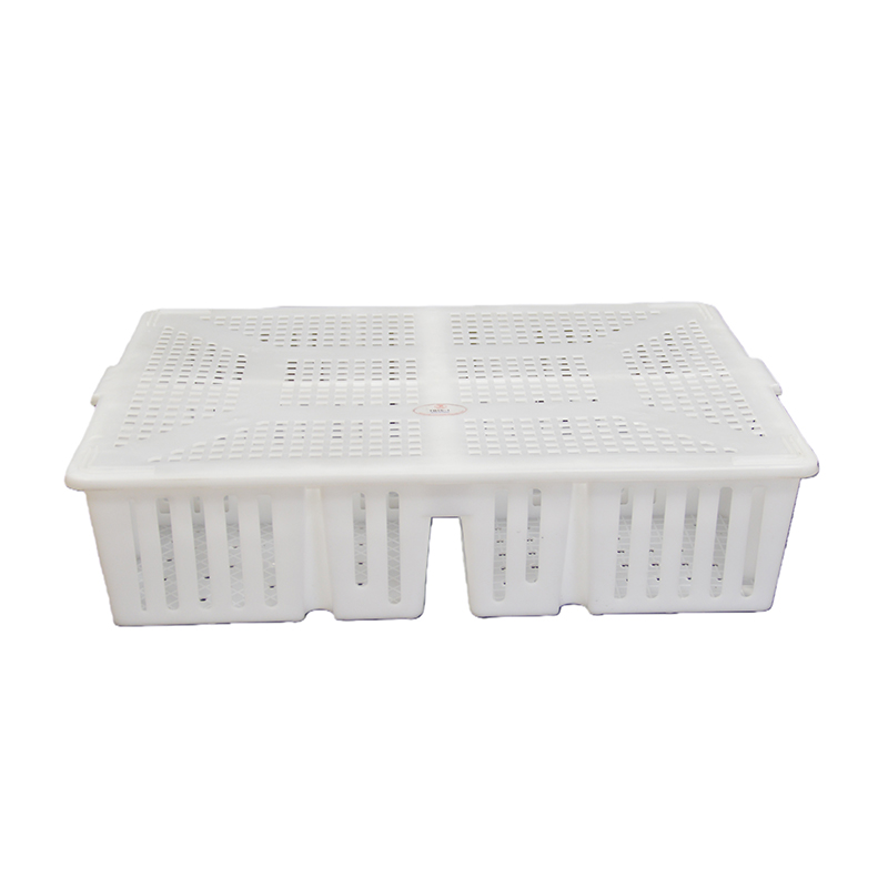 poultry chick crate