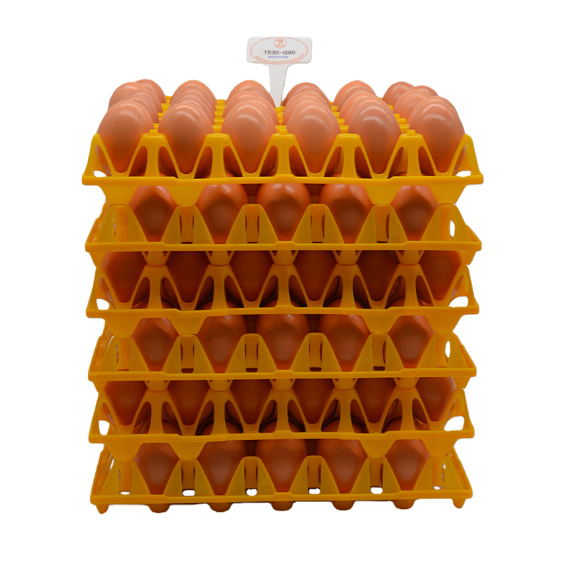 poultry egg tray