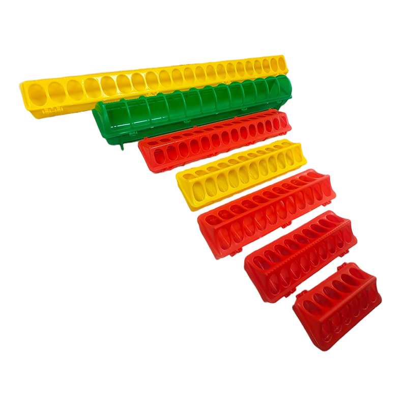 wholesale chick feeder China